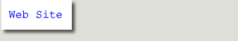 Web Site