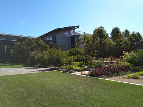 Good Life
Garden, Mondavi
Institute courtyard