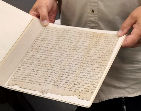 vineyard deed
from a will, 1287