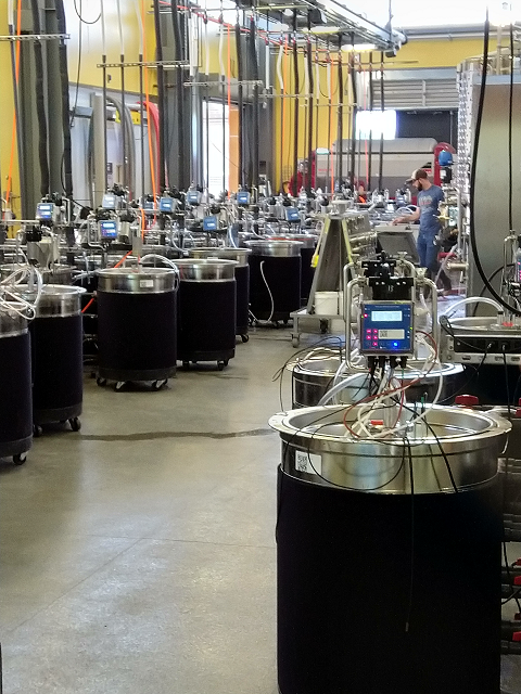 fermentation
tanks, Teaching and
Research Winery